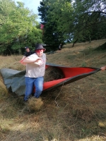 Vogelwiese Eisbaeren 2023